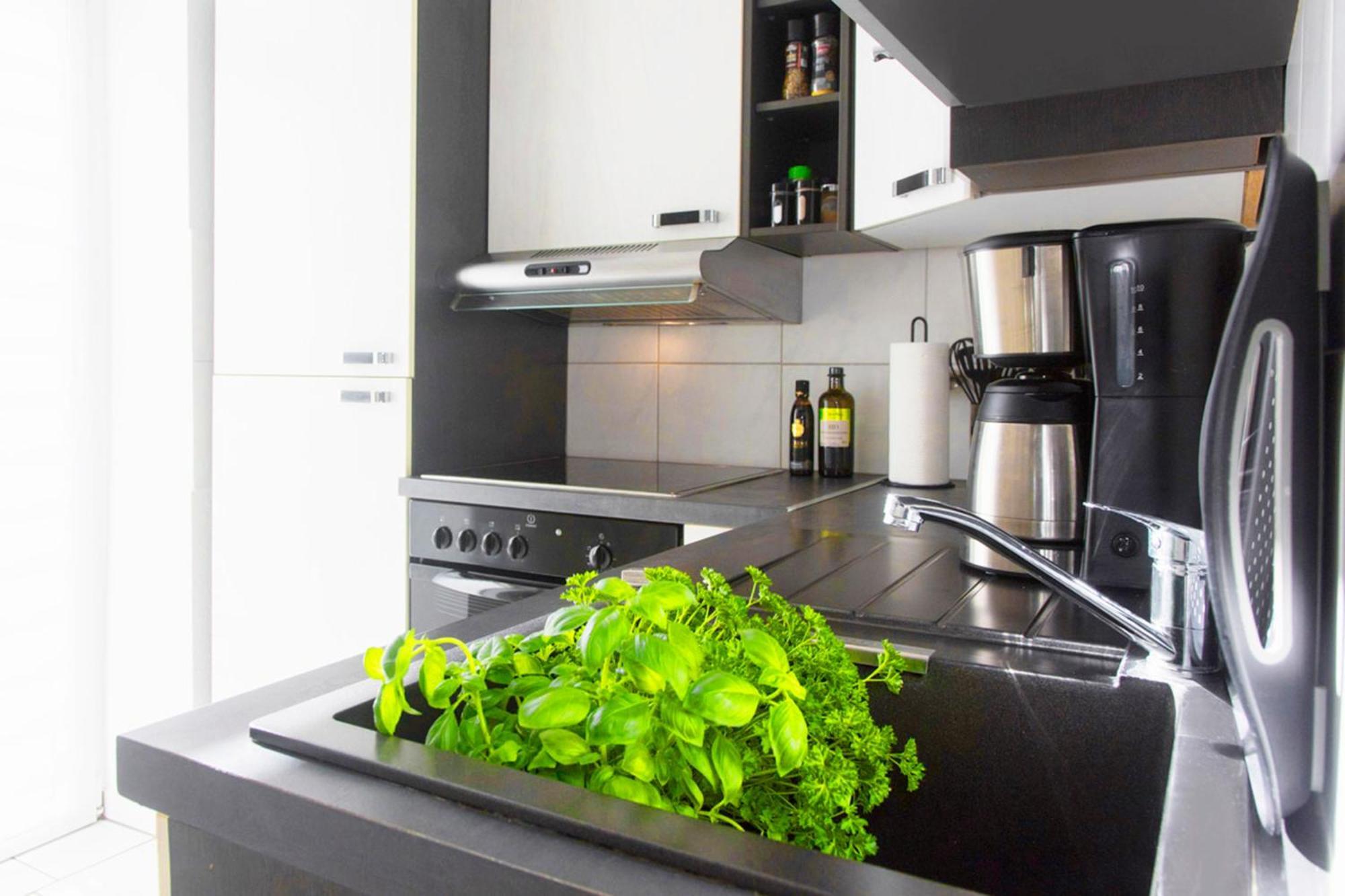 Bauhaus Design-Luxus Apartment, 20Er Jahre Stil, Garten ゲーラ エクステリア 写真