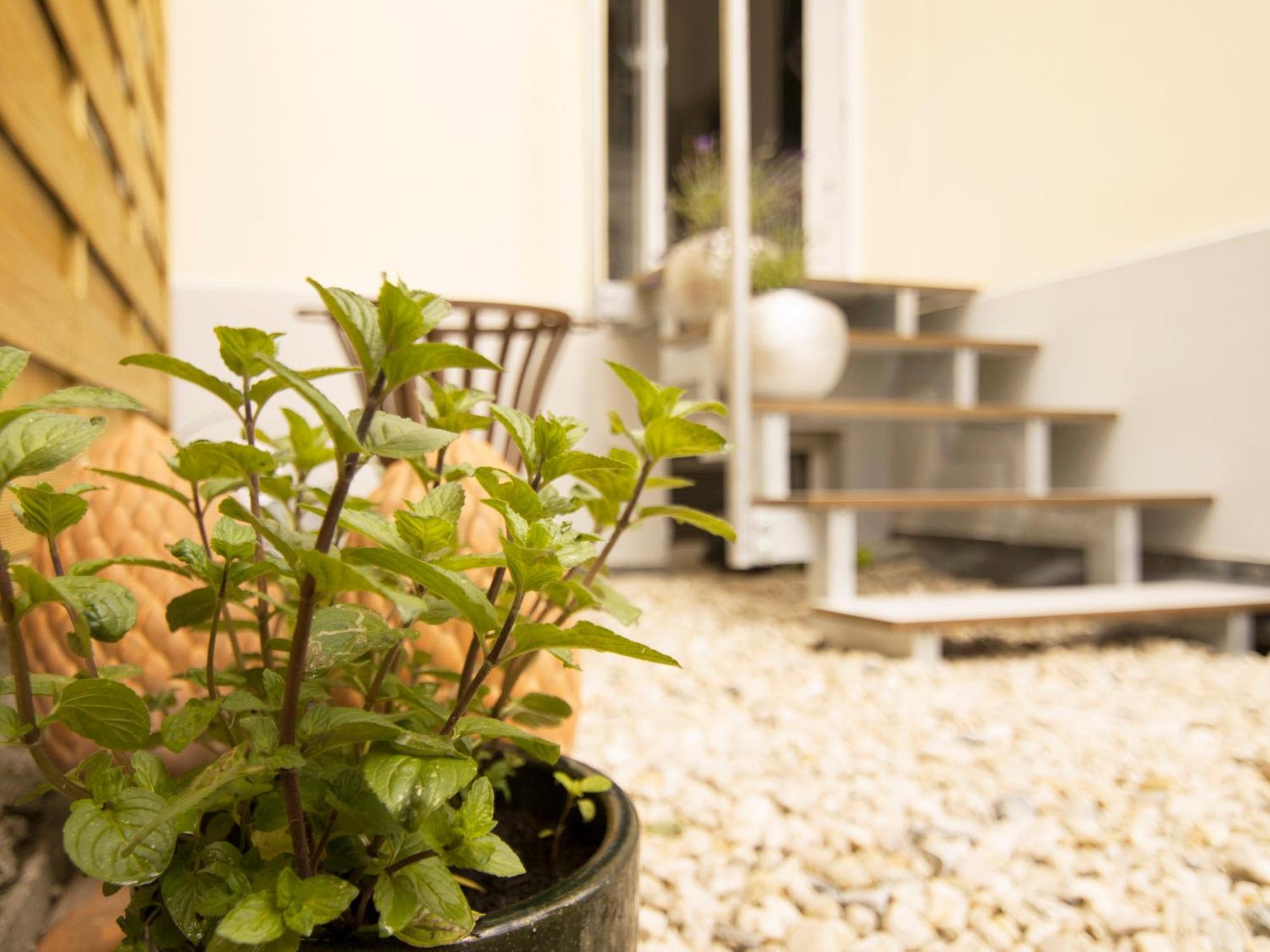 Bauhaus Design-Luxus Apartment, 20Er Jahre Stil, Garten ゲーラ エクステリア 写真